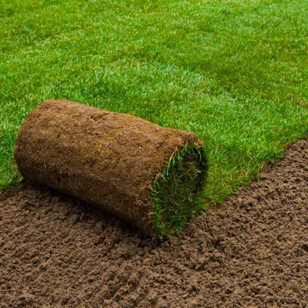 Fresh Northumberland Turf - Newcastle, Ponteland, Cramlington ...